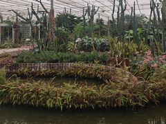 -上海鲜花港