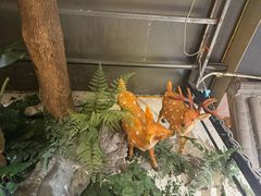 -肖记公安牛肉鱼杂馆· 省级非物质文化遗产(仁和路店)