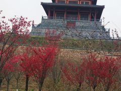 -古柏渡飞黄旅游区