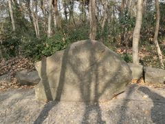 -上海佘山国家森林公园天马山园