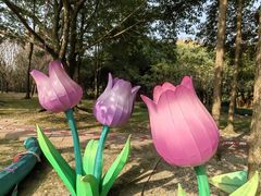 -金沙遗址博物馆