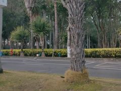 -黄金海岸环岛路