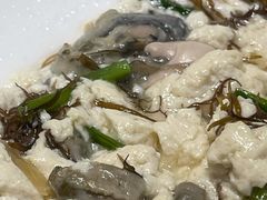 海蛎子炖豆腐-双合园·海鲜水饺青岛菜(万佳广场店)