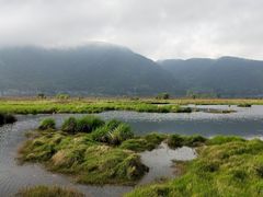 -腾冲北海湿地