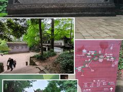 -青城山