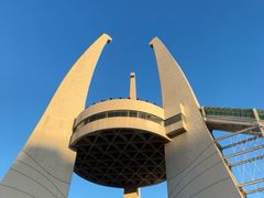 -中华恐龙园