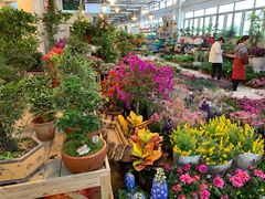 -双季花艺园艺市场(浦东店)