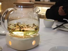 菊花茶-温州华侨饭店(信河街店)