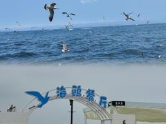 -大连海昌东方水城