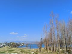 -大理洱海