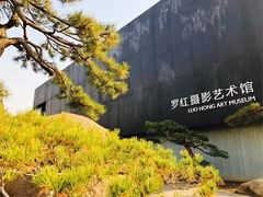 -罗红摄影艺术馆