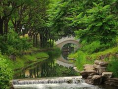 -北坞公园