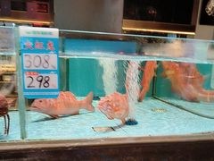 -阿伟海鲜楼·福建菜(延寿店)