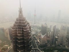 -上海柏悦酒店·世纪100牛排馆