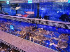 -青蓬蒸汽海鲜·深圳老字号·团建聚会(壹方城店)