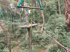 -芦仙山景区-飞越丛林探险乐园