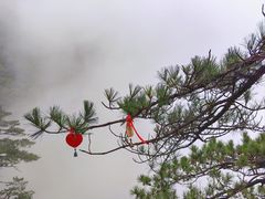 -萍乡武功山风景名胜区