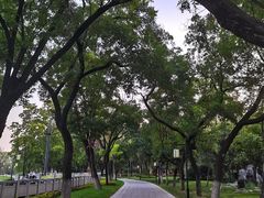 -渭滨公园