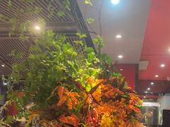 -一品红川菜(皇岗店)