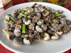 -罗源湾8号渔排