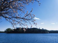 -颐和园