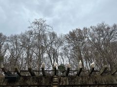 -音乐台