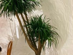 -麓椿花园西餐厅(海乐世界店)