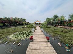 -同銮特种养殖场·龙虾垂钓