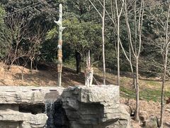 -宁波野生动物园