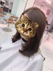 -潘多拉Hairsalon