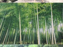 -井空里大峡谷