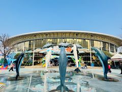 -海合安成都极地海洋公园