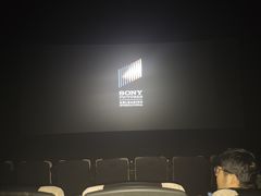 -深影国际影城(学院南路店CGS中国巨幕店)