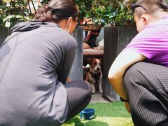 -RAC BAR(安福路店)