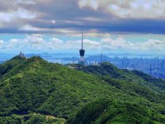 -梧桐山风景名胜区