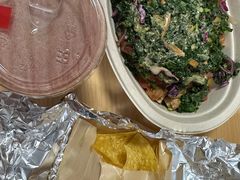 -油梨树AVOCADO TREE(顺义新国展店)