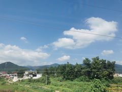 -浔庐餐厅•江西老字号•九江菜(烟水亭店)