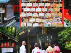 -野宫神社