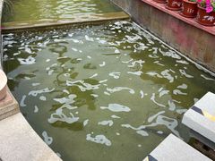 -悦隆庄温泉度假酒店