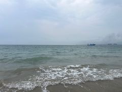 -东郊椰林