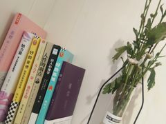 -夏叶茶(大光明店)