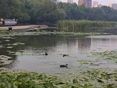 -前关湿地公园