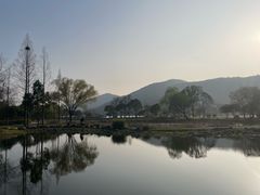 -长广溪湿地公园