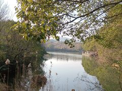 -白马涧龙池景区