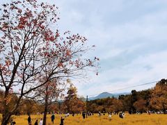 -塔川景区