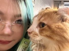 -豆逗聊愈猫阁Easy Life