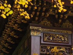 -汇龙潭