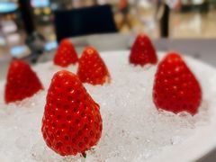 -红雀围·海鲜火锅(陆家嘴中心店)