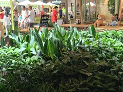 -瑞虹新天地月亮湾