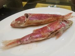 -吴记富苑(朝阳店)